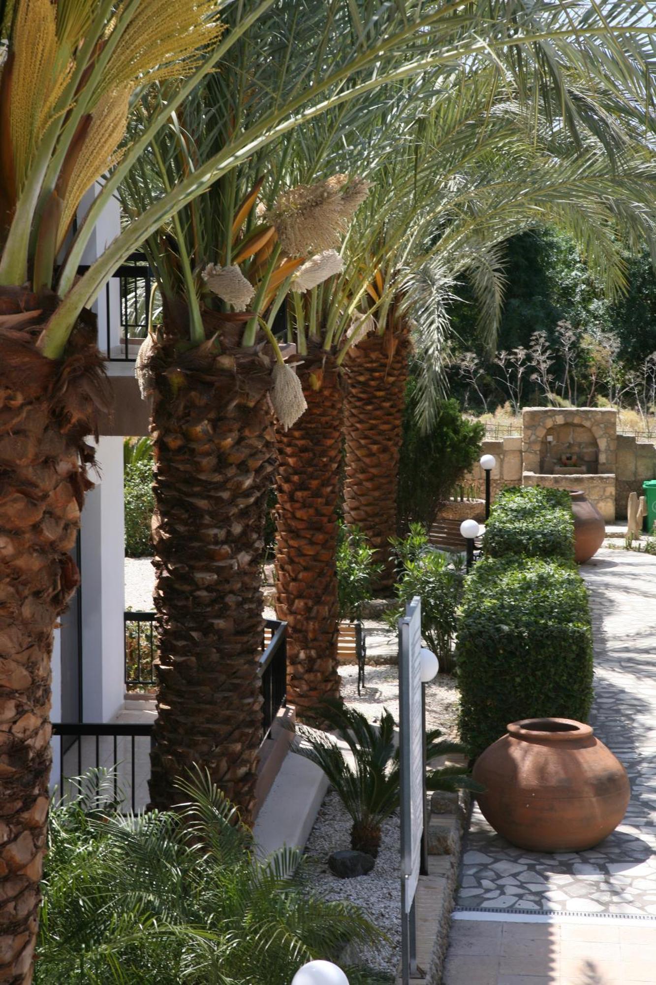 كيسونيجرا آنا للشقق الفندقية المظهر الخارجي الصورة